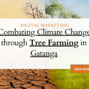 Combating Climate Change through Tree Farming in Gatanga