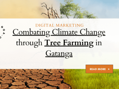 Combating Climate Change through Tree Farming in Gatanga