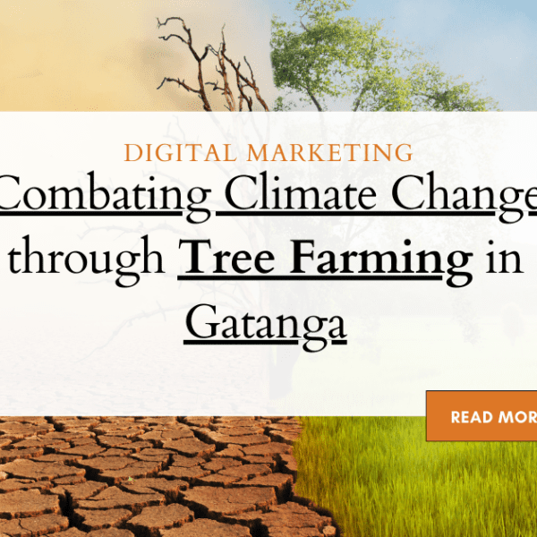 Combating Climate Change through Tree Farming in Gatanga