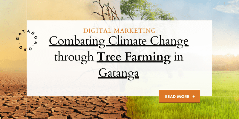 Combating Climate Change through Tree Farming in Gatanga