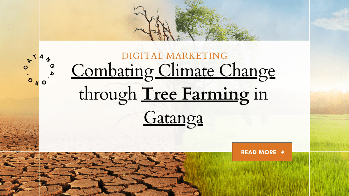 Combating Climate Change through Tree Farming in Gatanga