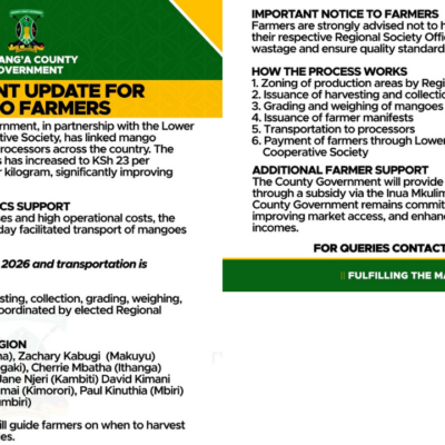 Murang’a County Boosts Mango Prices in Major Win for Farmers