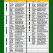 Murang'a Youth Service 8th cohort recruitment