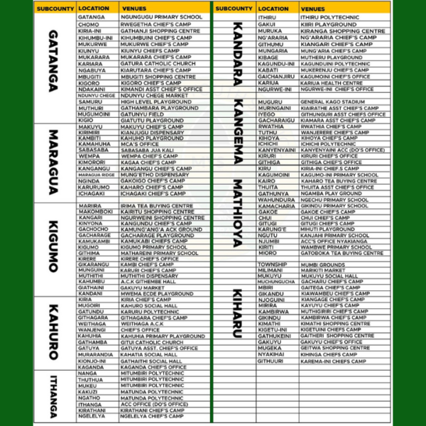 Murang'a Youth Service 8th cohort recruitment