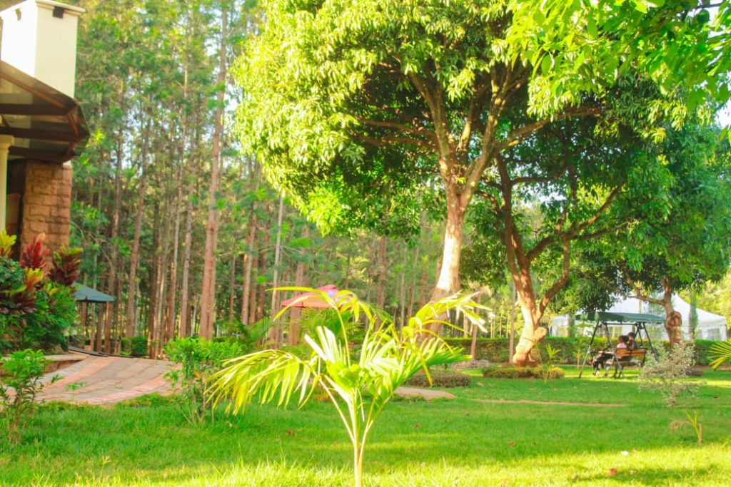 Best Hotels and Restaurants in Murang'a
